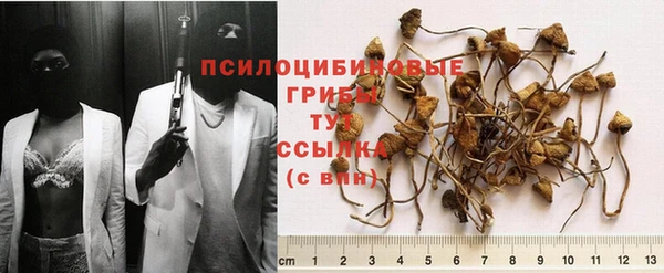 spice Зерноград