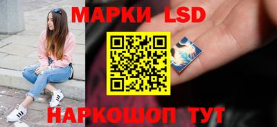 прущие грибы Камышлов