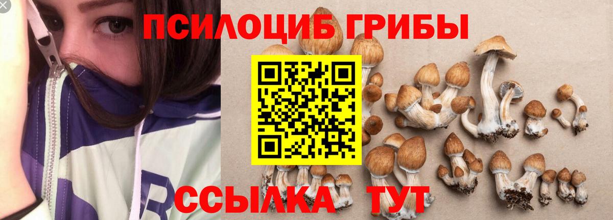 Галлюциногенные грибы Magic Shrooms Химки